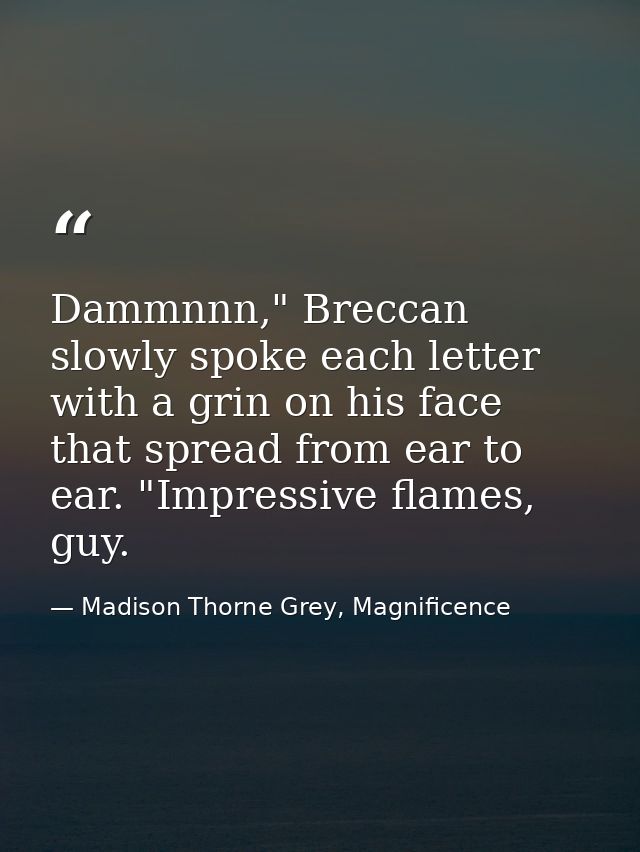 Dammnnn," Breccan slowly spoke each letter with a grin on his face that spread from ear to ear. "Impressive flames, guy. — Madison Thorne Grey, Magnificence