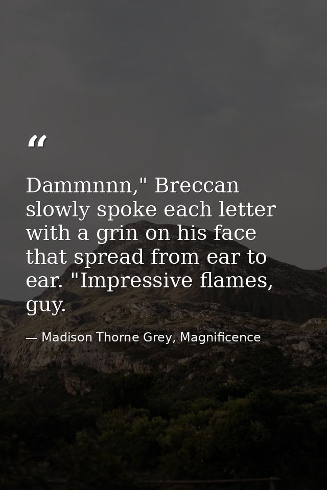 Dammnnn," Breccan slowly spoke each letter with a grin on his face that spread from ear to ear. "Impressive flames, guy. — Madison Thorne Grey, Magnificence