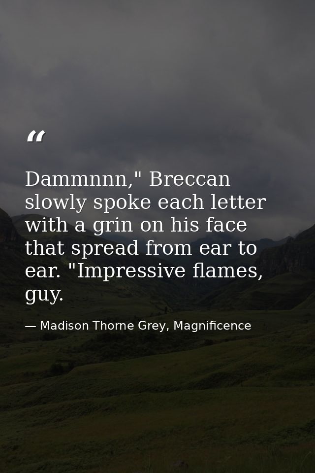 Dammnnn," Breccan slowly spoke each letter with a grin on his face that spread from ear to ear. "Impressive flames, guy. — Madison Thorne Grey, Magnificence