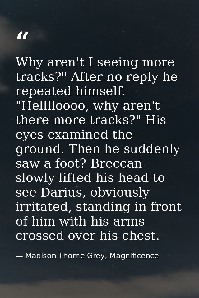 Why aren't I seeing more tracks?" After no reply he repeated himself. "Helllloooo, why aren't there more tracks?" His ey — Madison Thorne Grey, Magnificence