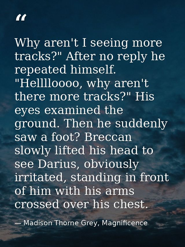 Why aren't I seeing more tracks?" After no reply he repeated himself. "Helllloooo, why aren't there more tracks?" His ey — Madison Thorne Grey, Magnificence