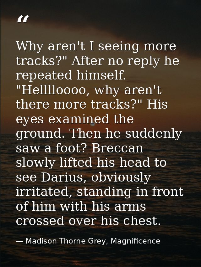 Why aren't I seeing more tracks?" After no reply he repeated himself. "Helllloooo, why aren't there more tracks?" His ey — Madison Thorne Grey, Magnificence