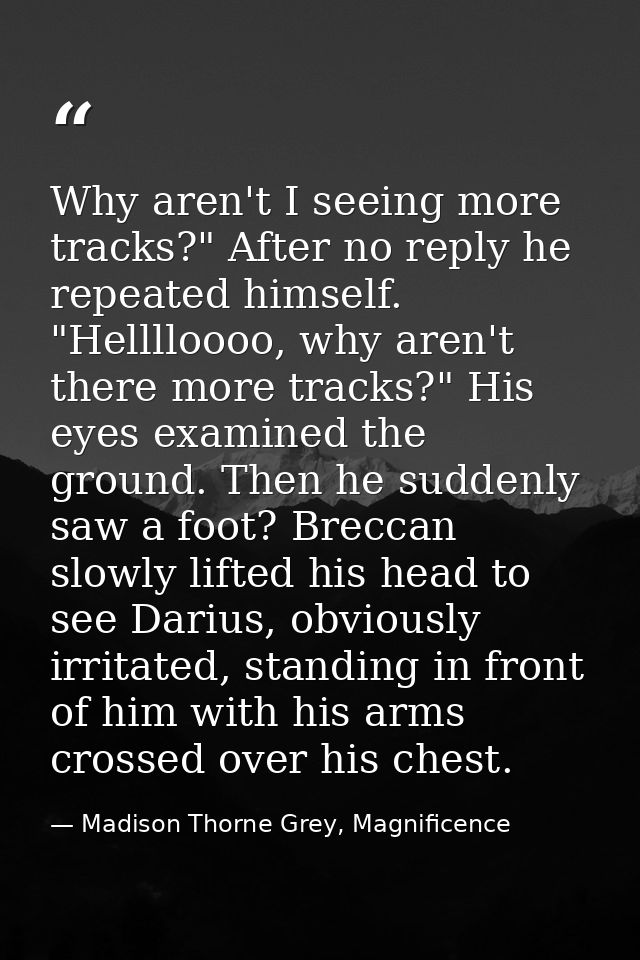 Why aren't I seeing more tracks?" After no reply he repeated himself. "Helllloooo, why aren't there more tracks?" His ey — Madison Thorne Grey, Magnificence