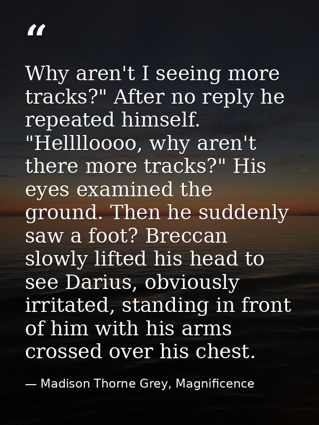 Why aren't I seeing more tracks?" After no reply he repeated himself. "Helllloooo, why aren't there more tracks?" His ey — Madison Thorne Grey, Magnificence
