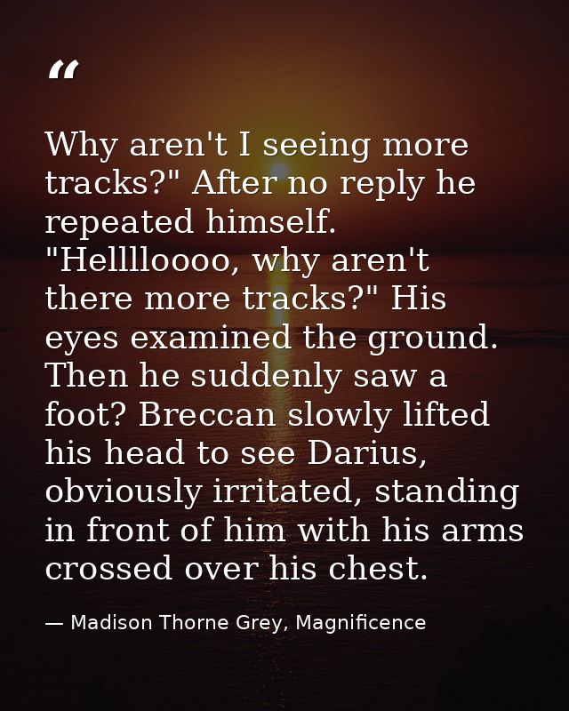 Why aren't I seeing more tracks?" After no reply he repeated himself. "Helllloooo, why aren't there more tracks?" His ey — Madison Thorne Grey, Magnificence