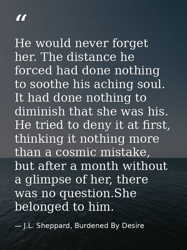 He would never forget her. The distance he forced had done nothing to soothe his aching soul. It had done nothing to dim — J.L. Sheppard, Burdened By Desire