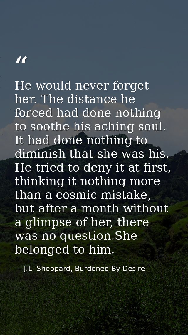 He would never forget her. The distance he forced had done nothing to soothe his aching soul. It had done nothing to dim — J.L. Sheppard, Burdened By Desire