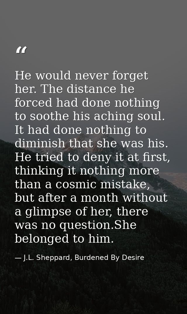 He would never forget her. The distance he forced had done nothing to soothe his aching soul. It had done nothing to dim — J.L. Sheppard, Burdened By Desire