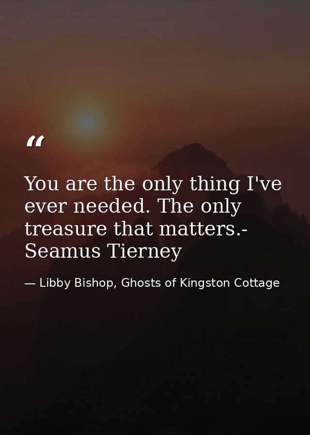 You are the only thing I've ever needed. The only treasure that matters.- Seamus Tierney — Libby Bishop, Ghosts of Kingston Cottage