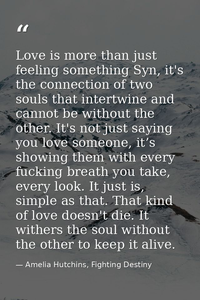 Love is more than just feeling something Syn, it's the connection of two souls that intertwine and cannot be without the — Amelia Hutchins, Fighting Destiny