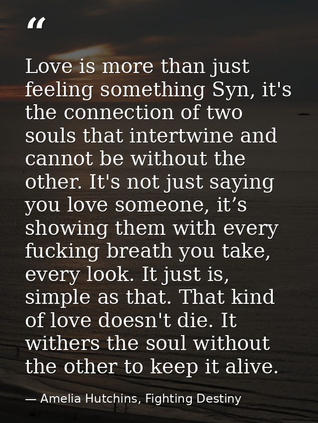 Love is more than just feeling something Syn, it's the connection of two souls that intertwine and cannot be without the — Amelia Hutchins, Fighting Destiny