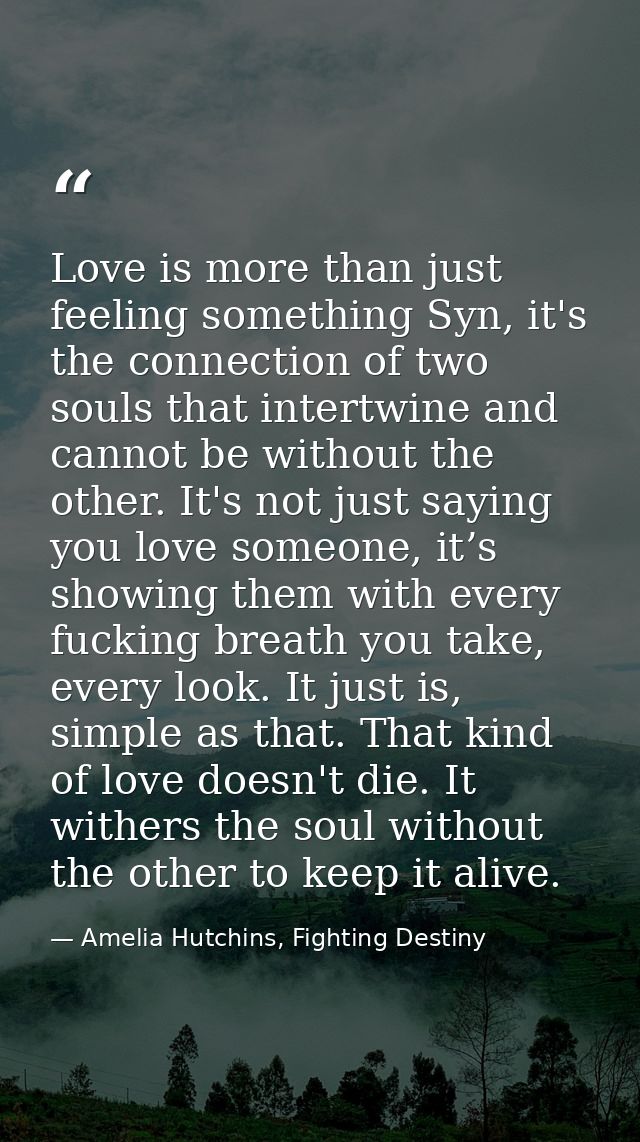 Love is more than just feeling something Syn, it's the connection of two souls that intertwine and cannot be without the — Amelia Hutchins, Fighting Destiny