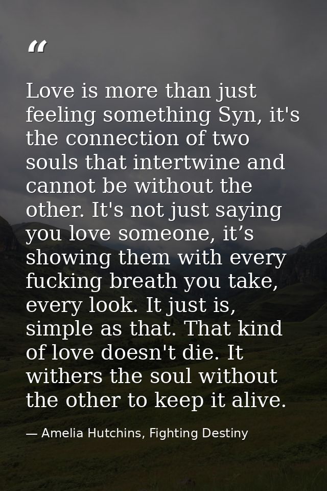 Love is more than just feeling something Syn, it's the connection of two souls that intertwine and cannot be without the — Amelia Hutchins, Fighting Destiny