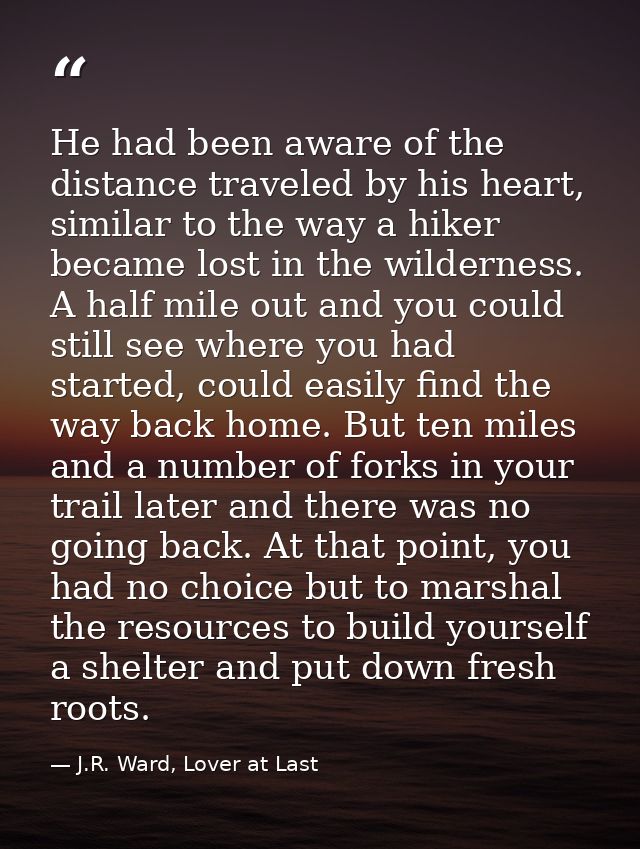 He had been aware of the distance traveled by his heart, similar to the way a hiker became lost in the wilderness. A hal — J.R. Ward, Lover at Last