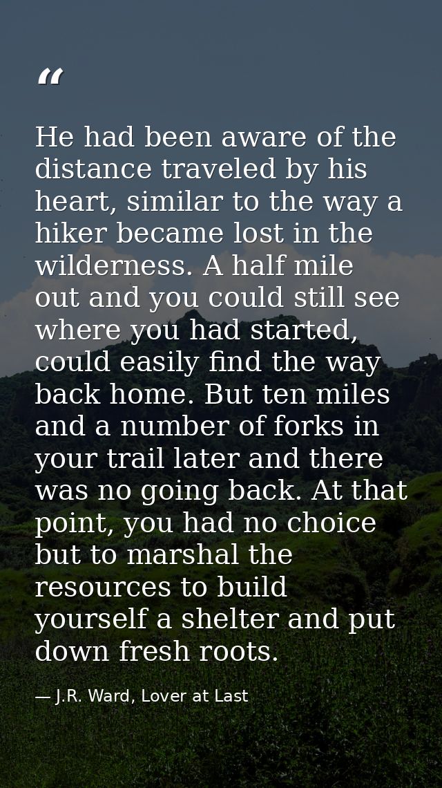 He had been aware of the distance traveled by his heart, similar to the way a hiker became lost in the wilderness. A hal — J.R. Ward, Lover at Last