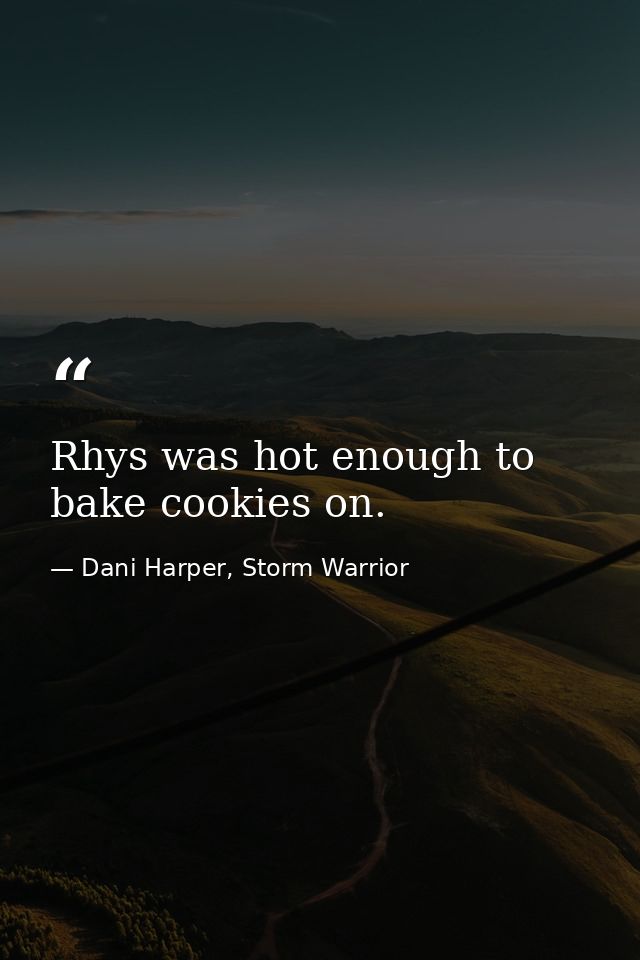 Rhys was hot enough to bake cookies on. — Dani Harper, Storm Warrior