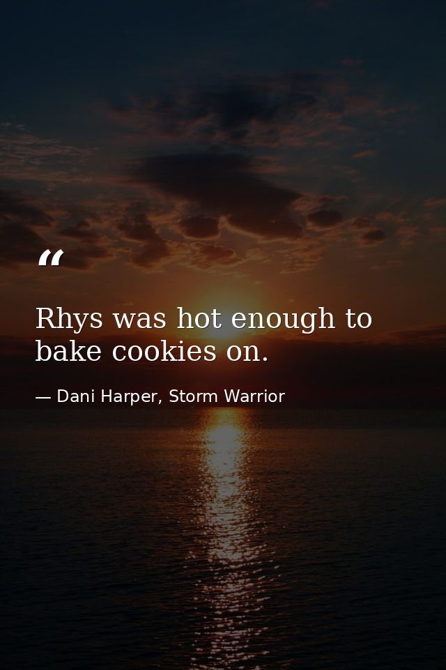 Rhys was hot enough to bake cookies on. — Dani Harper, Storm Warrior