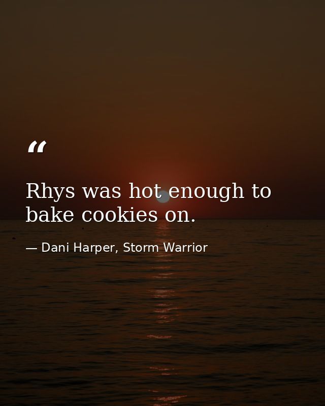 Rhys was hot enough to bake cookies on. — Dani Harper, Storm Warrior