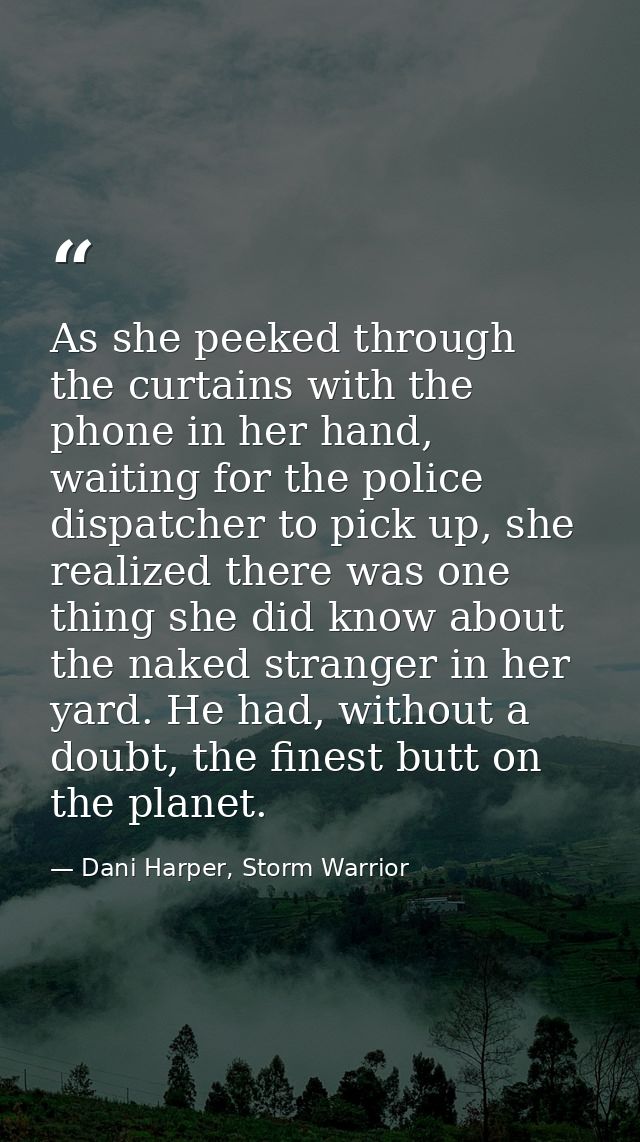 As she peeked through the curtains with the phone in her hand, waiting for the police dispatcher to pick up, she realize — Dani Harper, Storm Warrior