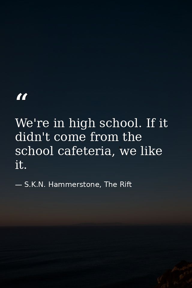 We're in high school. If it didn't come from the school cafeteria, we like it. — S.K.N. Hammerstone, The Rift