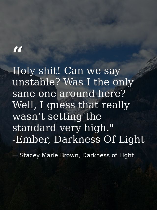 Holy shit! Can we say unstable? Was I the only sane one around here? Well, I guess that really wasn’t setting the standa — Stacey Marie Brown, Darkness of Light