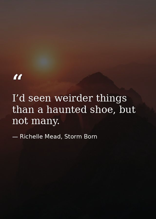 I’d seen weirder things than a haunted shoe, but not many. — Richelle Mead, Storm Born