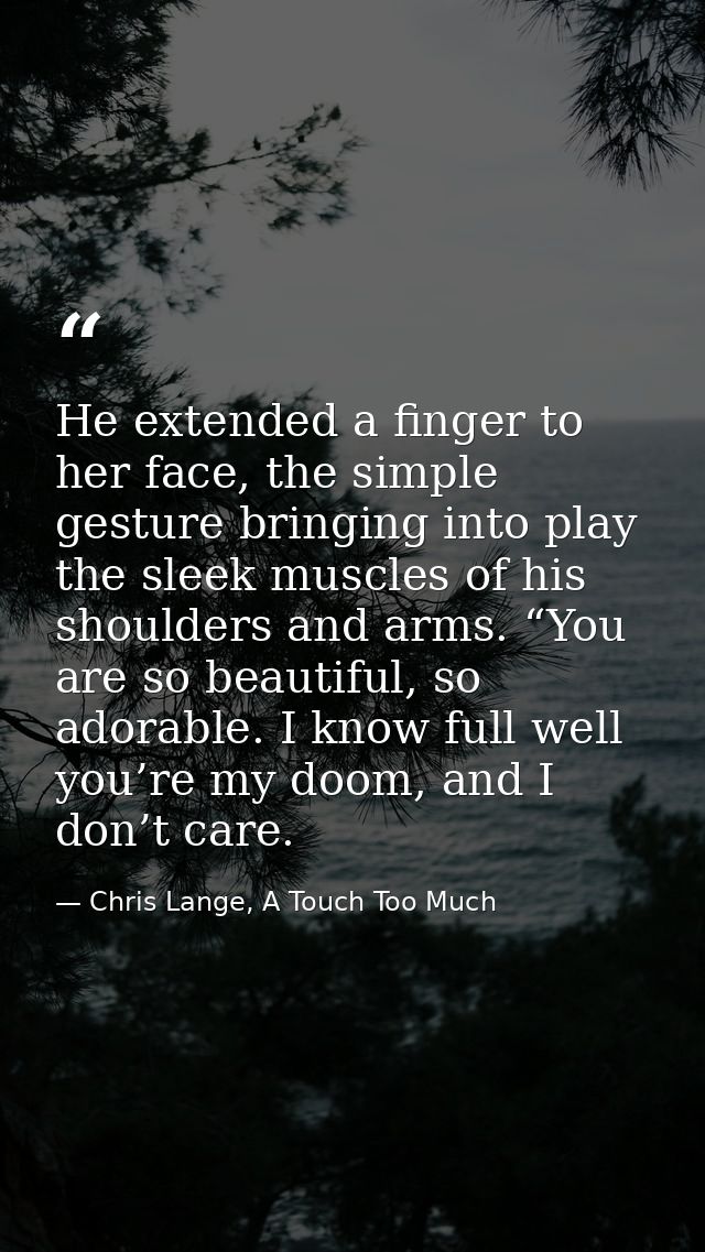 He extended a finger to her face, the simple gesture bringing into play the sleek muscles of his shoulders and arms. “Yo — Chris Lange, A Touch Too Much