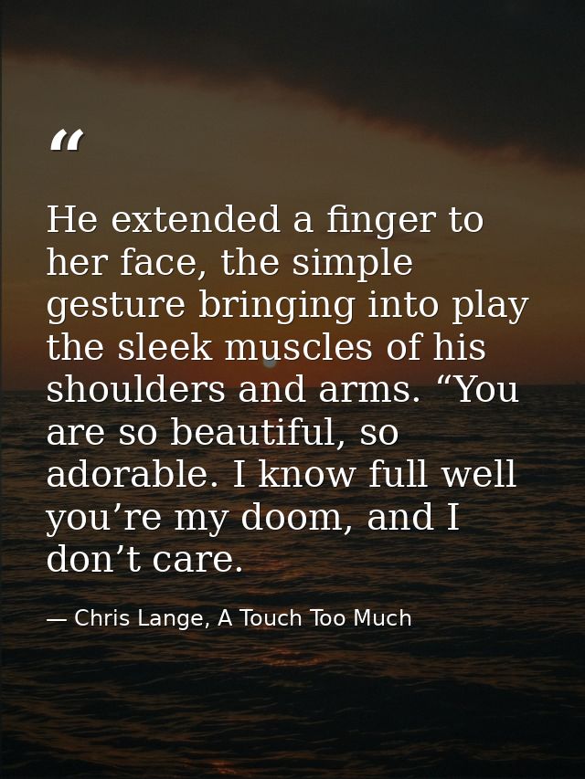 He extended a finger to her face, the simple gesture bringing into play the sleek muscles of his shoulders and arms. “Yo — Chris Lange, A Touch Too Much