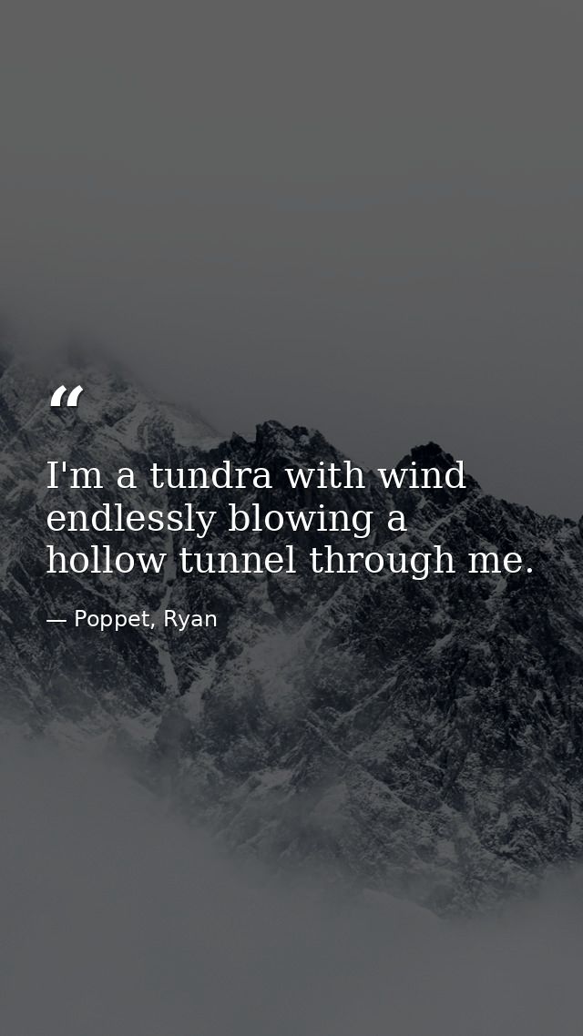 I'm a tundra with wind endlessly blowing a hollow tunnel through me. — Poppet, Ryan