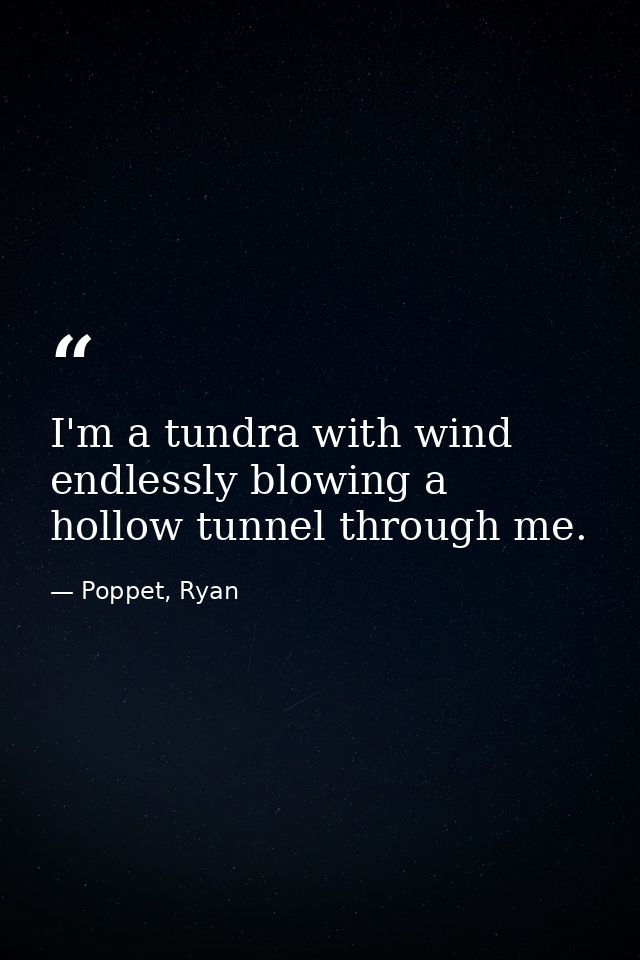 I'm a tundra with wind endlessly blowing a hollow tunnel through me. — Poppet, Ryan