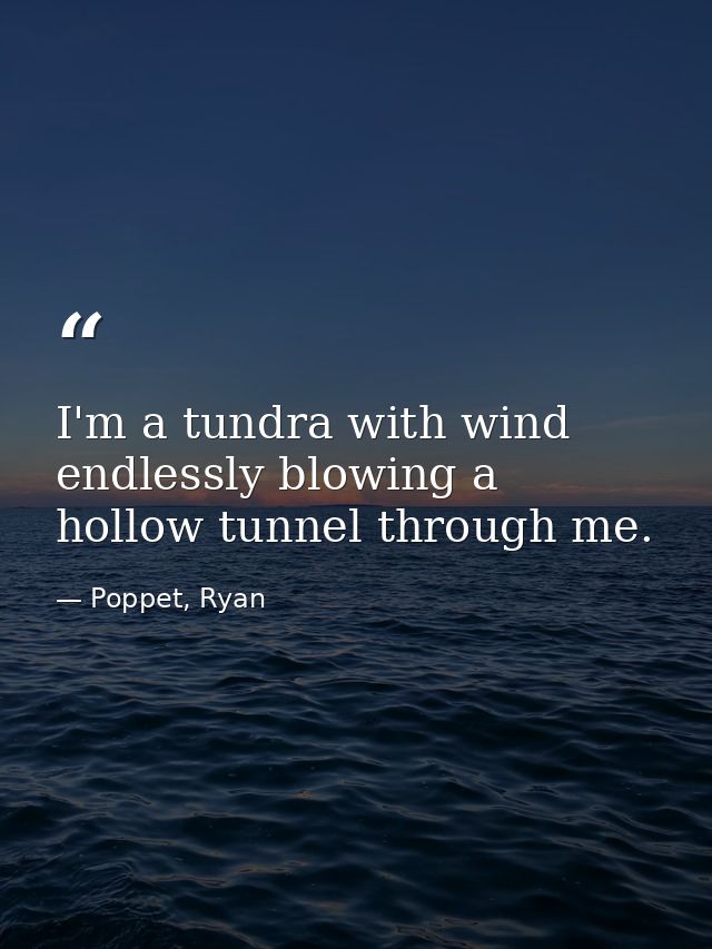I'm a tundra with wind endlessly blowing a hollow tunnel through me. — Poppet, Ryan