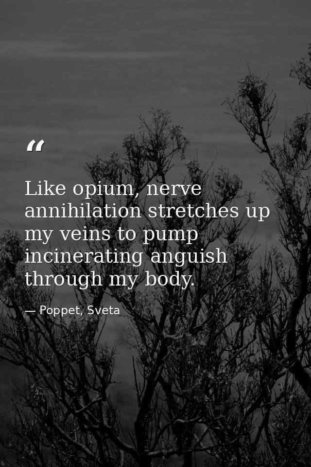 Like opium, nerve annihilation stretches up my veins to pump incinerating anguish through my body. — Poppet, Sveta