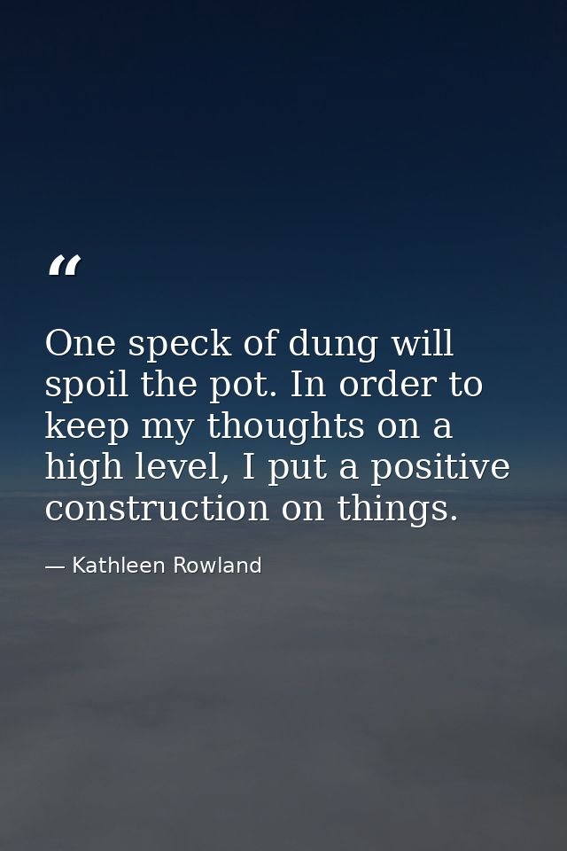 One speck of dung will spoil the pot. In order to keep my thoughts on a high level, I put a positive construction on thi — Kathleen Rowland