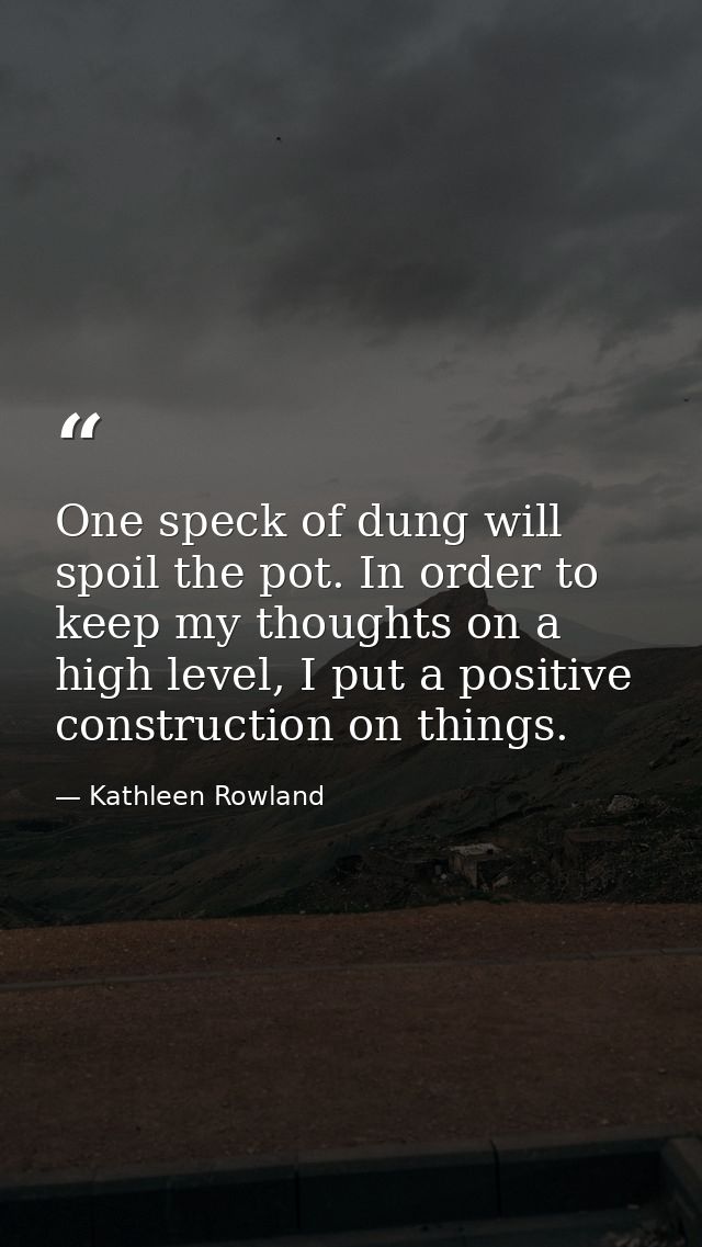 One speck of dung will spoil the pot. In order to keep my thoughts on a high level, I put a positive construction on thi — Kathleen Rowland