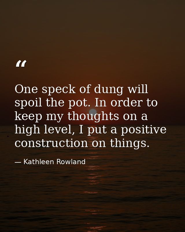 One speck of dung will spoil the pot. In order to keep my thoughts on a high level, I put a positive construction on thi — Kathleen Rowland