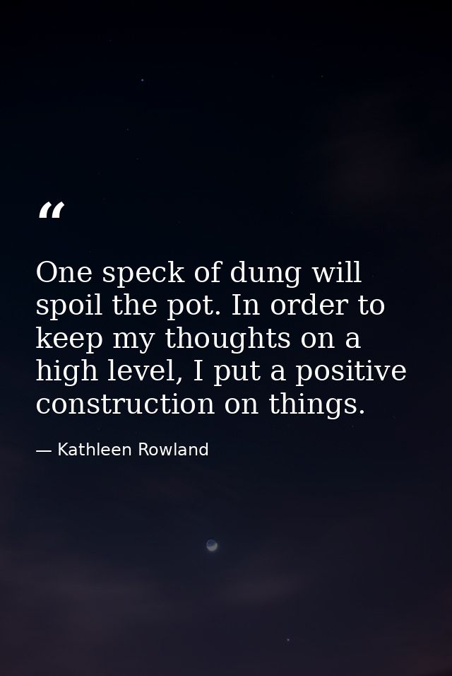One speck of dung will spoil the pot. In order to keep my thoughts on a high level, I put a positive construction on thi — Kathleen Rowland