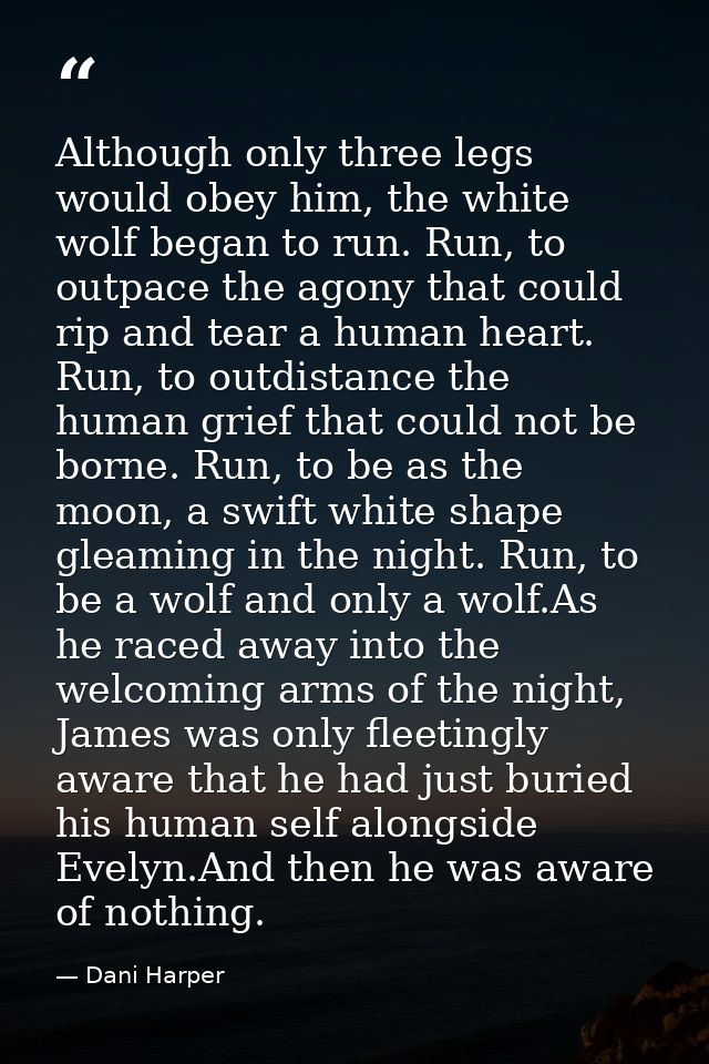 Although only three legs would obey him, the white wolf began to run. Run, to outpace the agony that could rip and tear  — Dani Harper