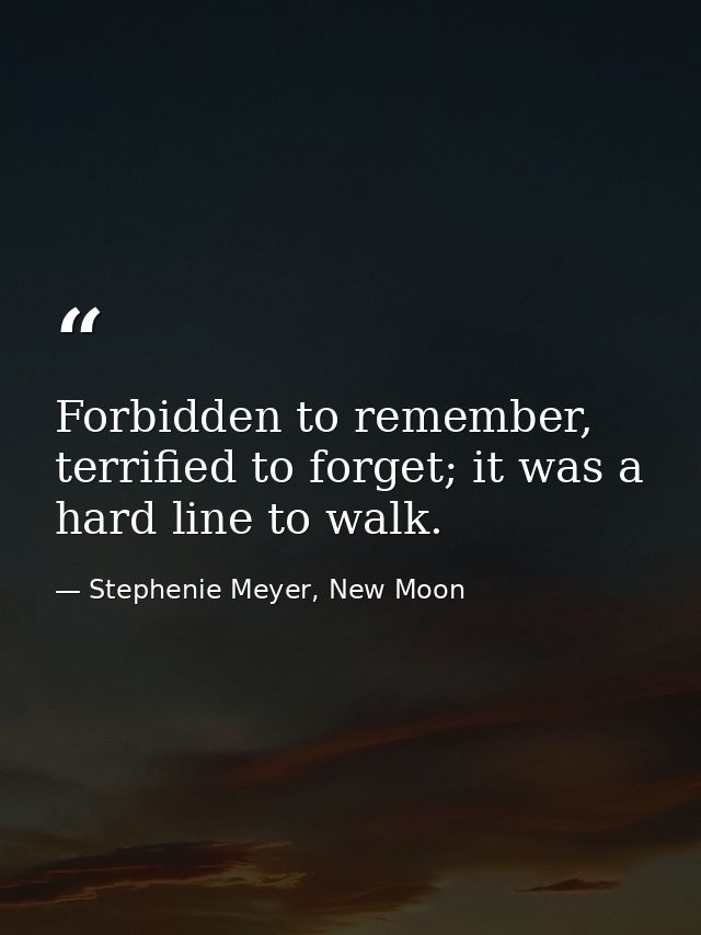 Forbidden to remember, terrified to forget; it was a hard line to walk. — Stephenie Meyer, New Moon