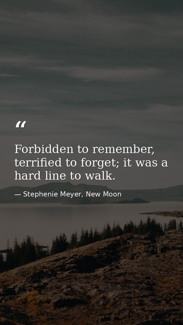Forbidden to remember, terrified to forget; it was a hard line to walk. — Stephenie Meyer, New Moon