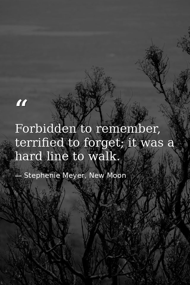 Forbidden to remember, terrified to forget; it was a hard line to walk. — Stephenie Meyer, New Moon