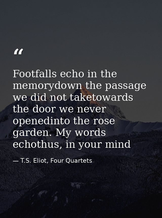 Footfalls echo in the memorydown the passage we did not taketowards the door we never openedinto the rose garden. My wor — T.S. Eliot, Four Quartets