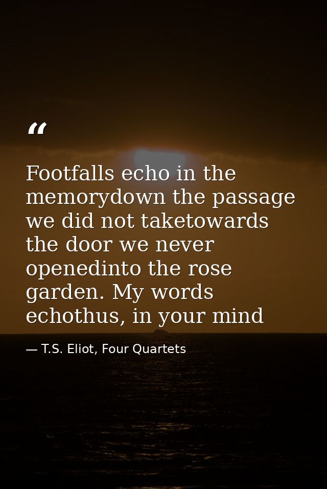 Footfalls echo in the memorydown the passage we did not taketowards the door we never openedinto the rose garden. My wor — T.S. Eliot, Four Quartets