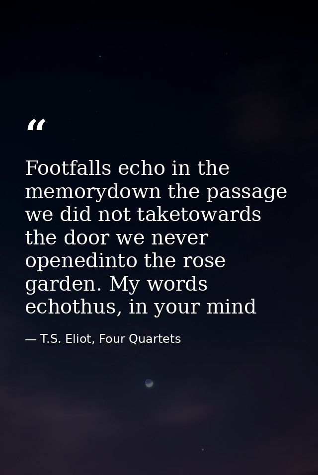 Footfalls echo in the memorydown the passage we did not taketowards the door we never openedinto the rose garden. My wor — T.S. Eliot, Four Quartets