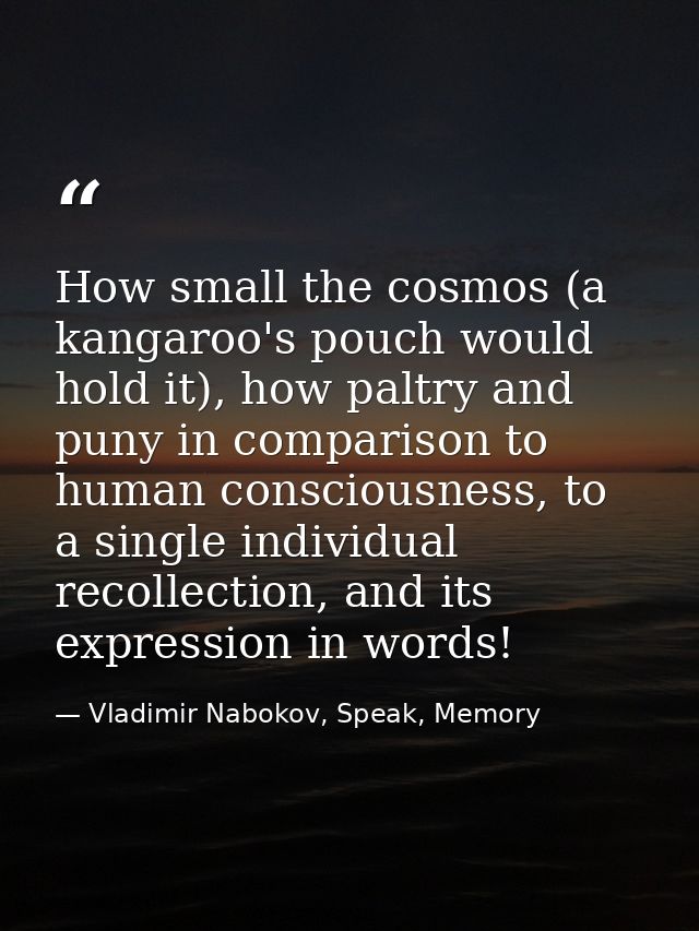 How small the cosmos (a kangaroo's pouch would hold it), how paltry and puny in comparison to human consciousness, to a  — Vladimir Nabokov, Speak, Memory