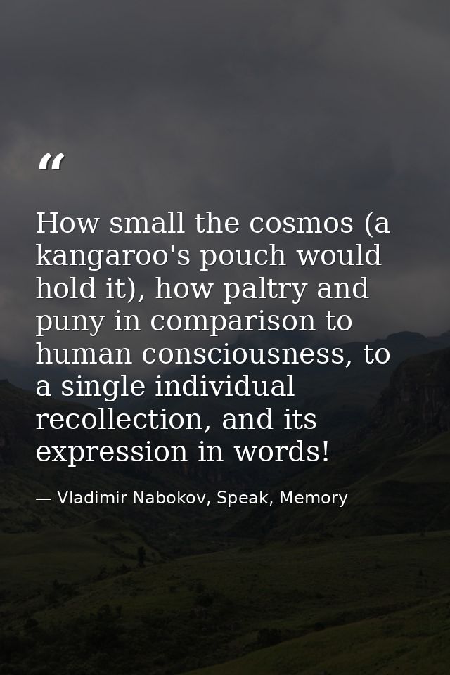 How small the cosmos (a kangaroo's pouch would hold it), how paltry and puny in comparison to human consciousness, to a  — Vladimir Nabokov, Speak, Memory