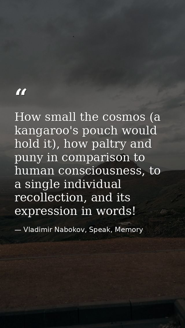How small the cosmos (a kangaroo's pouch would hold it), how paltry and puny in comparison to human consciousness, to a  — Vladimir Nabokov, Speak, Memory