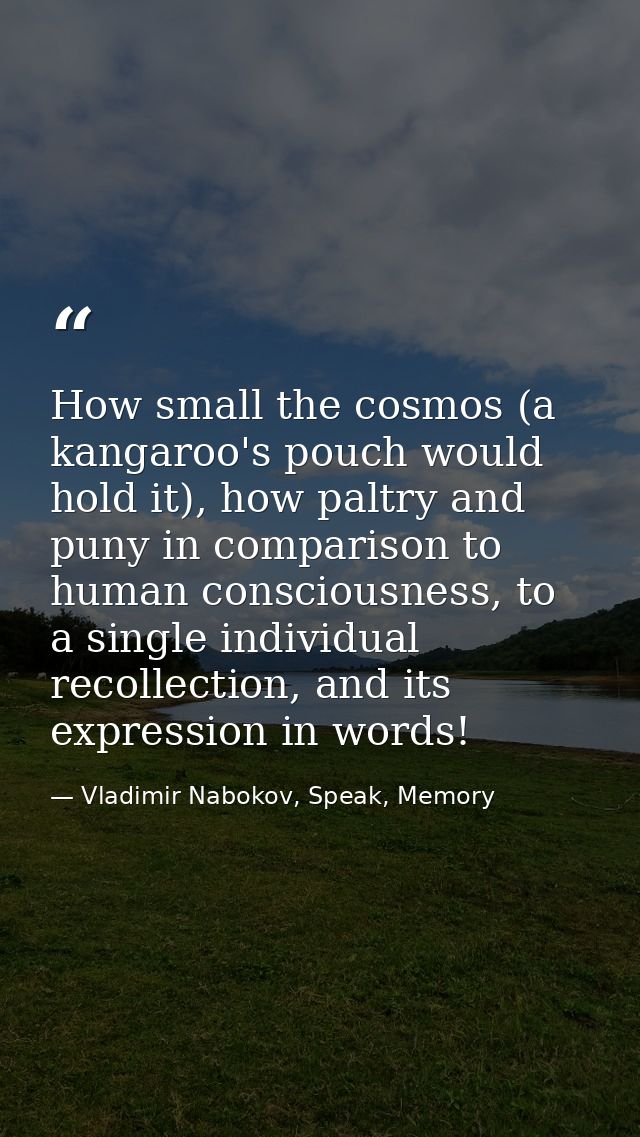 How small the cosmos (a kangaroo's pouch would hold it), how paltry and puny in comparison to human consciousness, to a  — Vladimir Nabokov, Speak, Memory