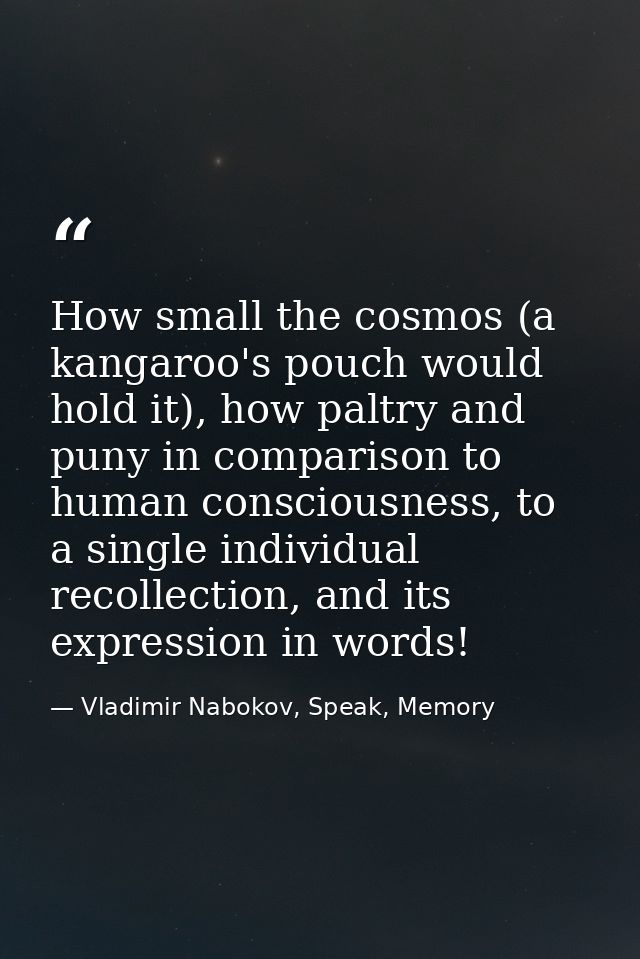 How small the cosmos (a kangaroo's pouch would hold it), how paltry and puny in comparison to human consciousness, to a  — Vladimir Nabokov, Speak, Memory
