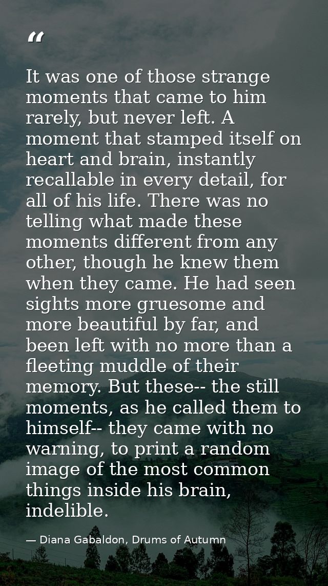 It was one of those strange moments that came to him rarely, but never left. A moment that stamped itself on heart and b — Diana Gabaldon, Drums of Autumn