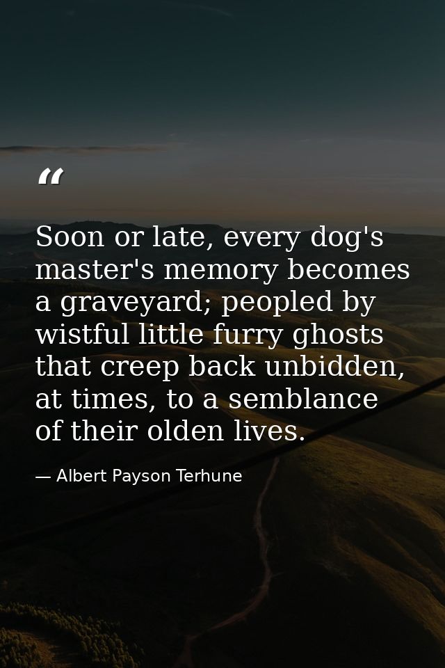 Soon or late, every dog's master's memory becomes a graveyard; peopled by wistful little furry ghosts that creep back un — Albert Payson Terhune